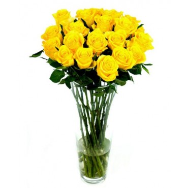 Yellow Roses for Home or Office